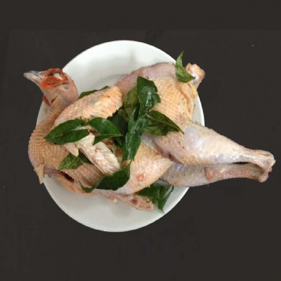 Chim trĩ đỏ còn sống, thịt ngon tuyệt